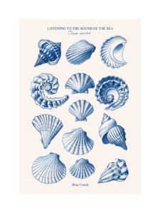 Sounds of the Océano