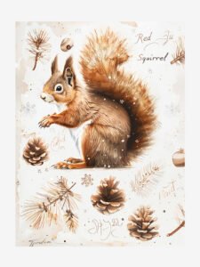 Invierno Squirrel