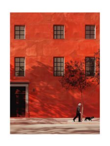 Shadows Caminar Beside