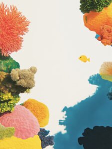 Momentos Lentos Junto al Coral