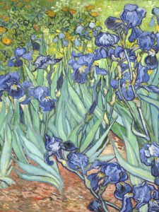 Los lirios de Van Gogh