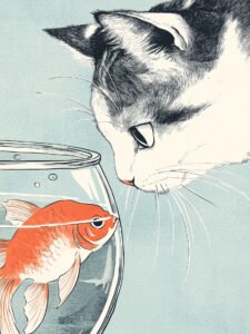 ‌La escena interesante de la mirada entre gato y pez