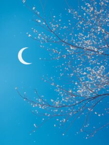 ‌La escena serena del árbol cargado de flores en la noche iluminada por la luna