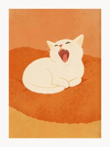 Gato Perezoso Bostezando