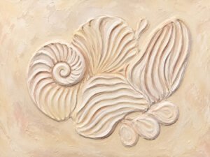 Relieve de Conchas